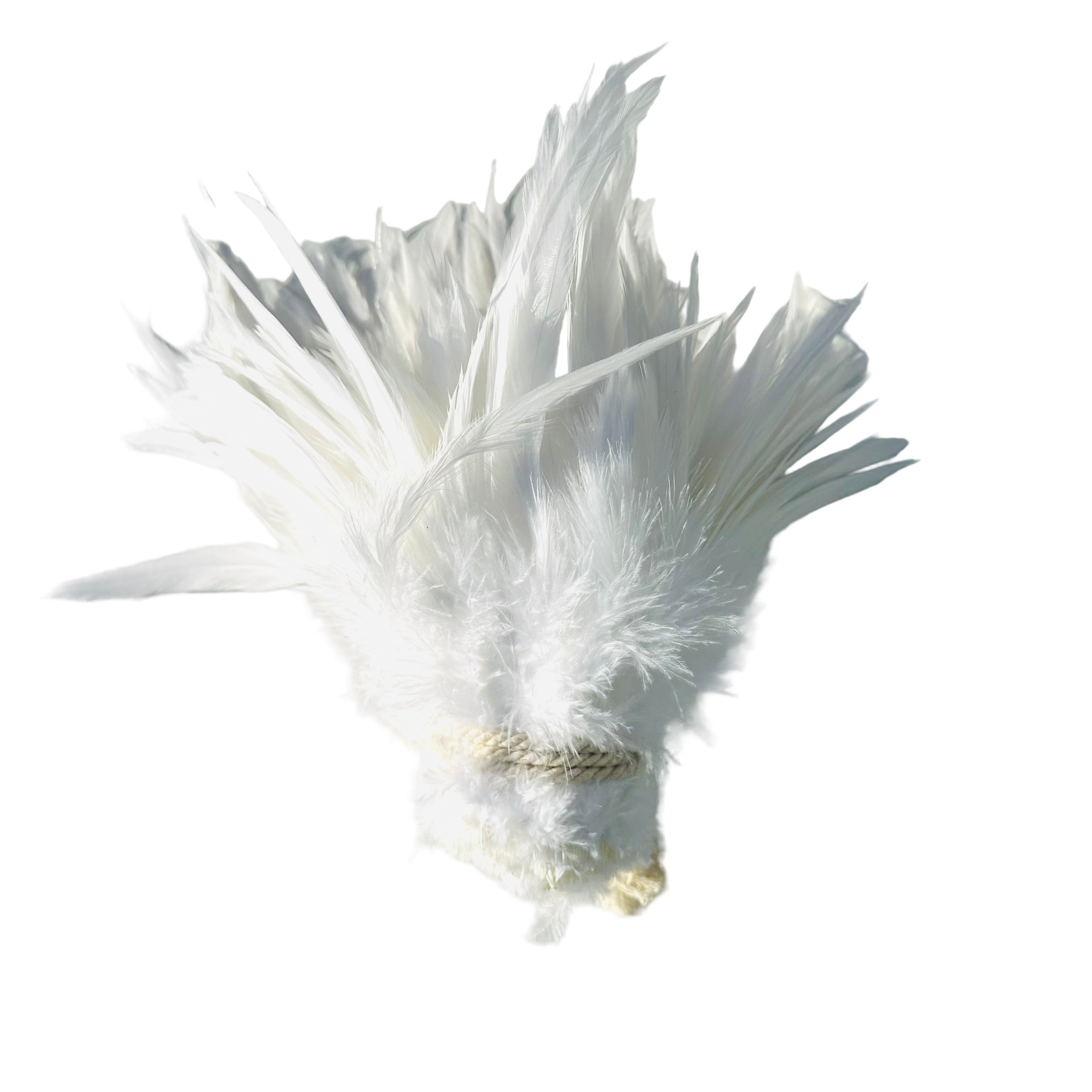 Feathers, White Strung Rooster hackle feathers, 6-8", 1 yard