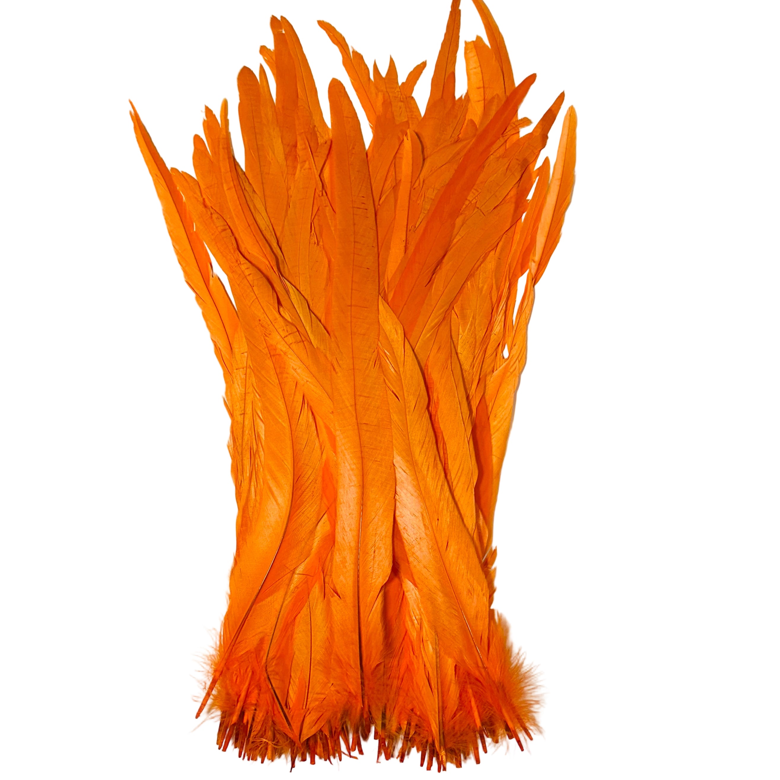 Feathers - Orange Roosters, 16-18", set of 100