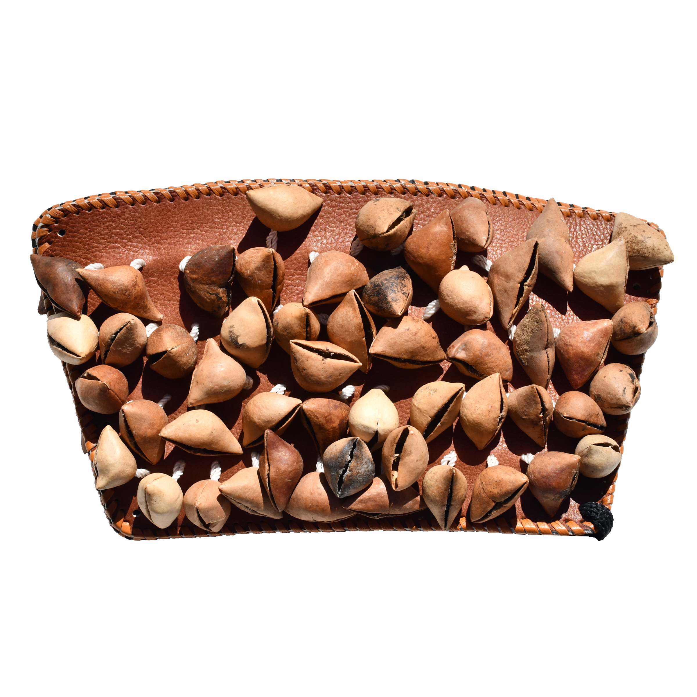 Ayoyotes - Adult - Brown