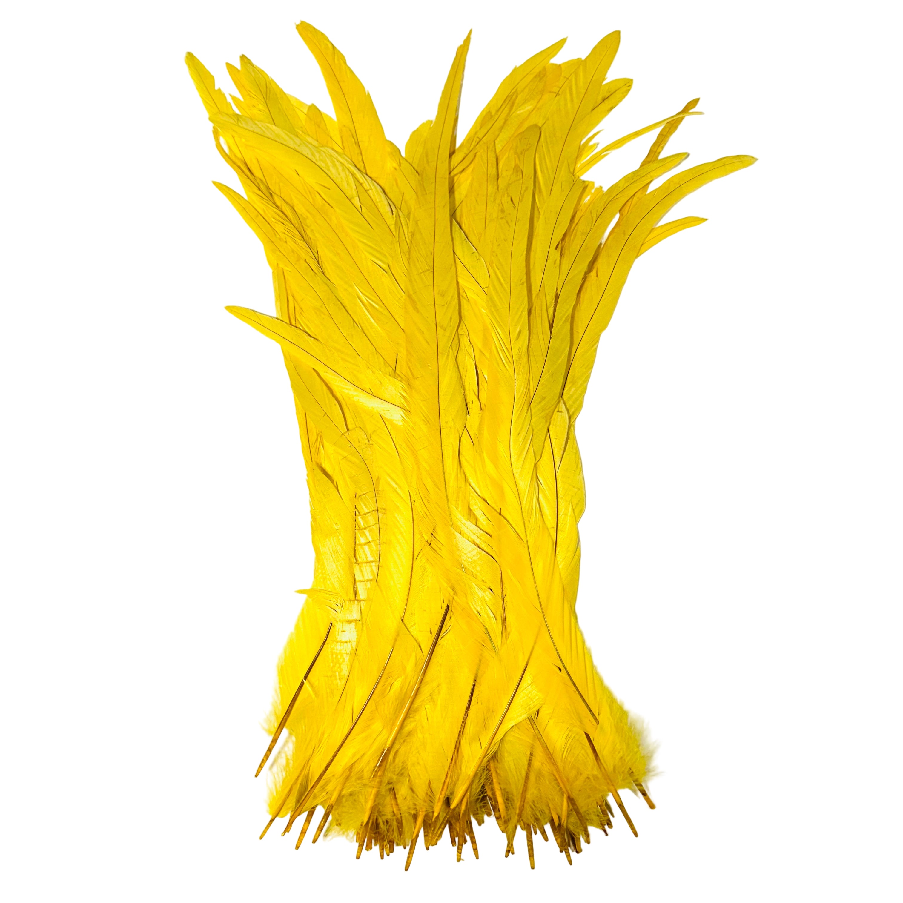Feathers - Yellow Roosters, 16-18", set of 100