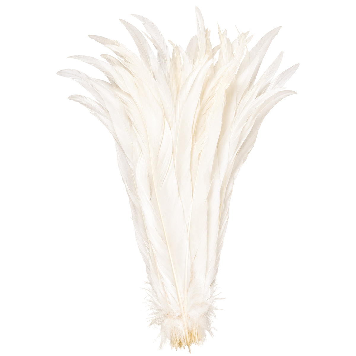 Feathers - White Roosters, 16-18", set of 100