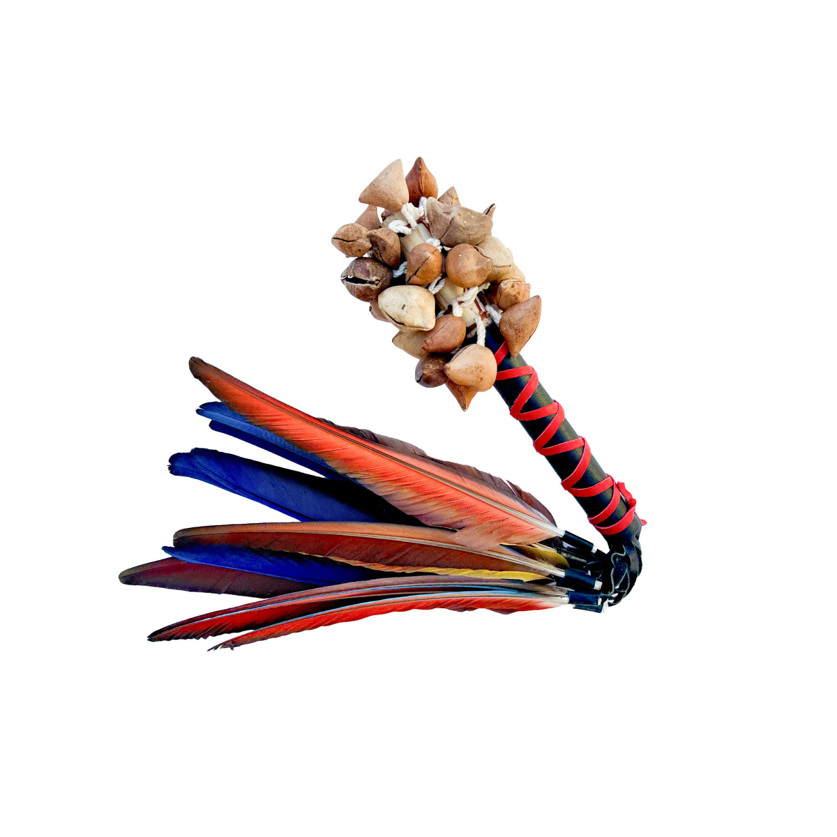 Sonaja (Rattle) - Ayoyotes w/ Feathers - 15