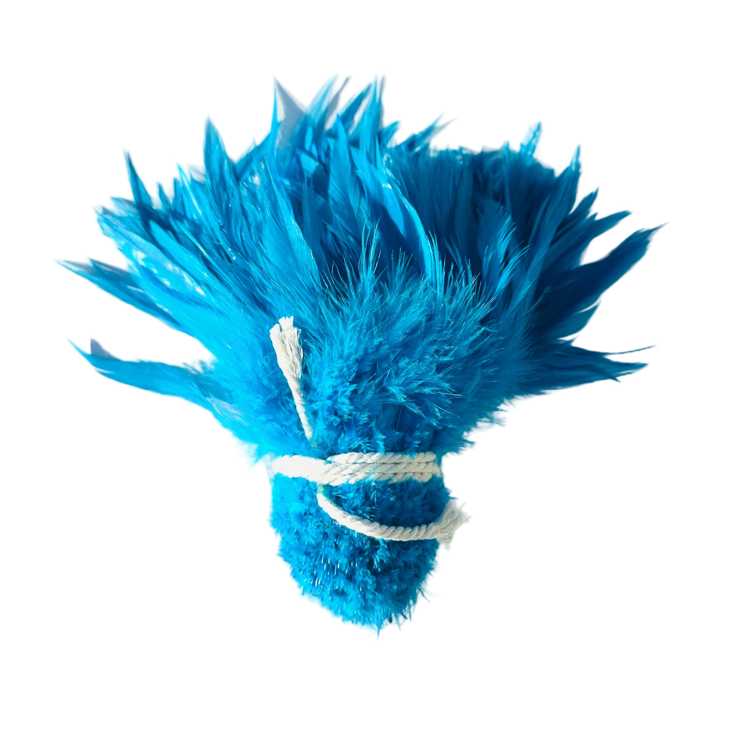 Feathers, Turquoise Strung Rooster hackle feathers, 6-8", 1 yard