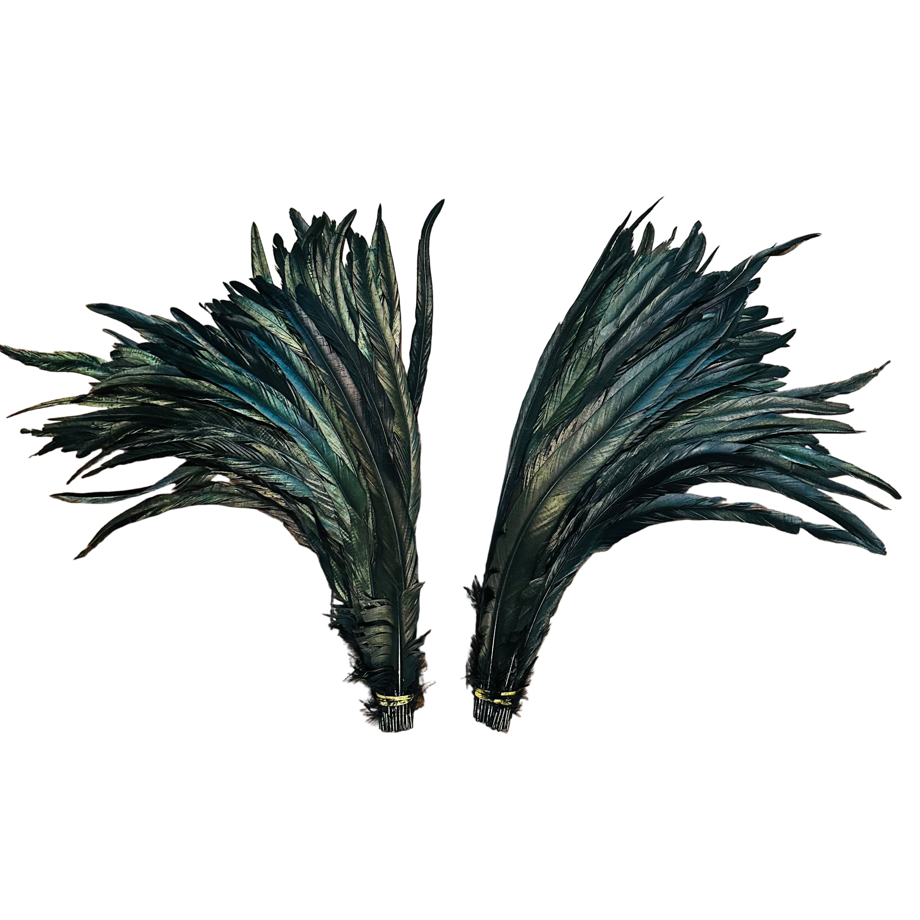 Feathers - Black Roosters, 16-18",  set of 100