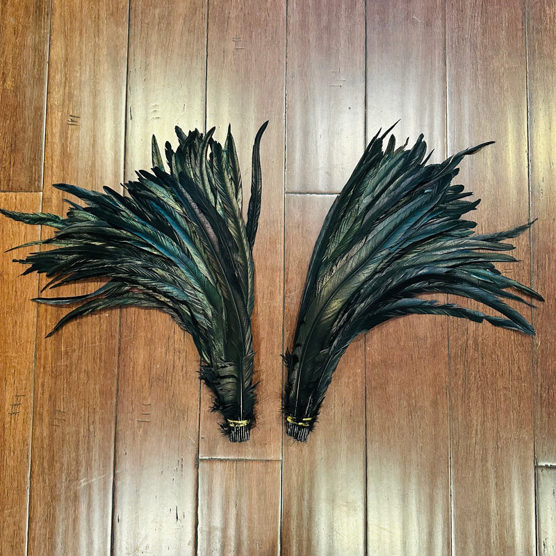 Black Rooster feathers set of 10