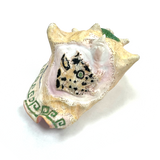 Atecocolli | Caracol | Conch shell - carved with inlay