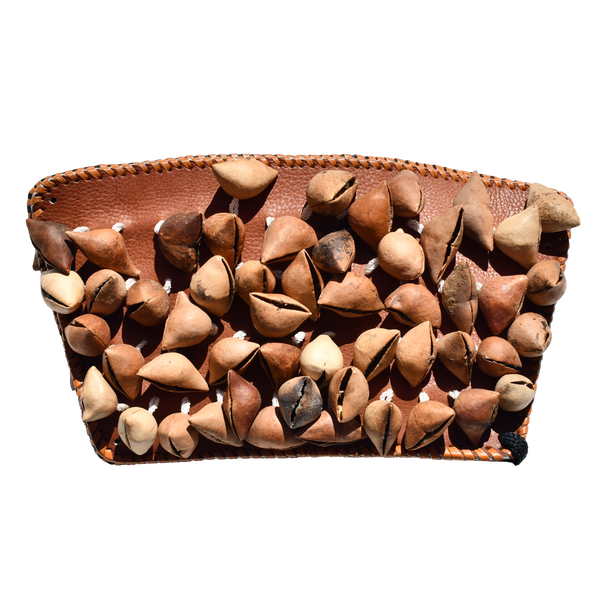 Ayoyotes - Adult - Brown