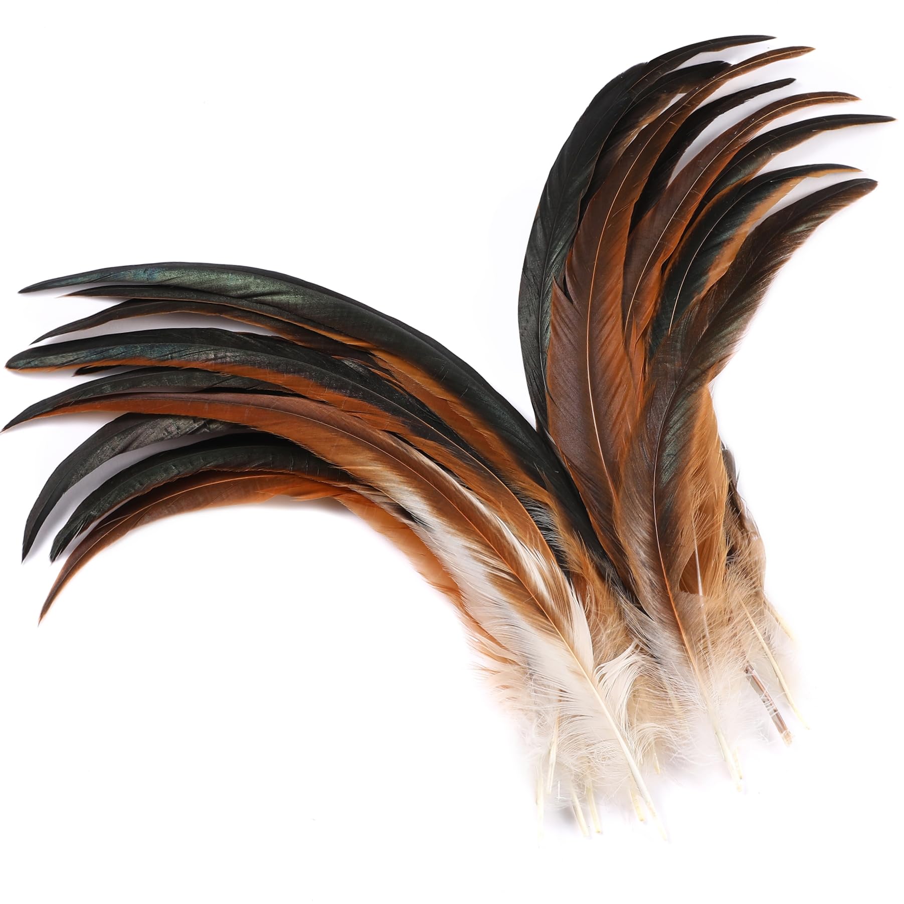 Feathers - Brown Roosters, 16-18",  set of 100