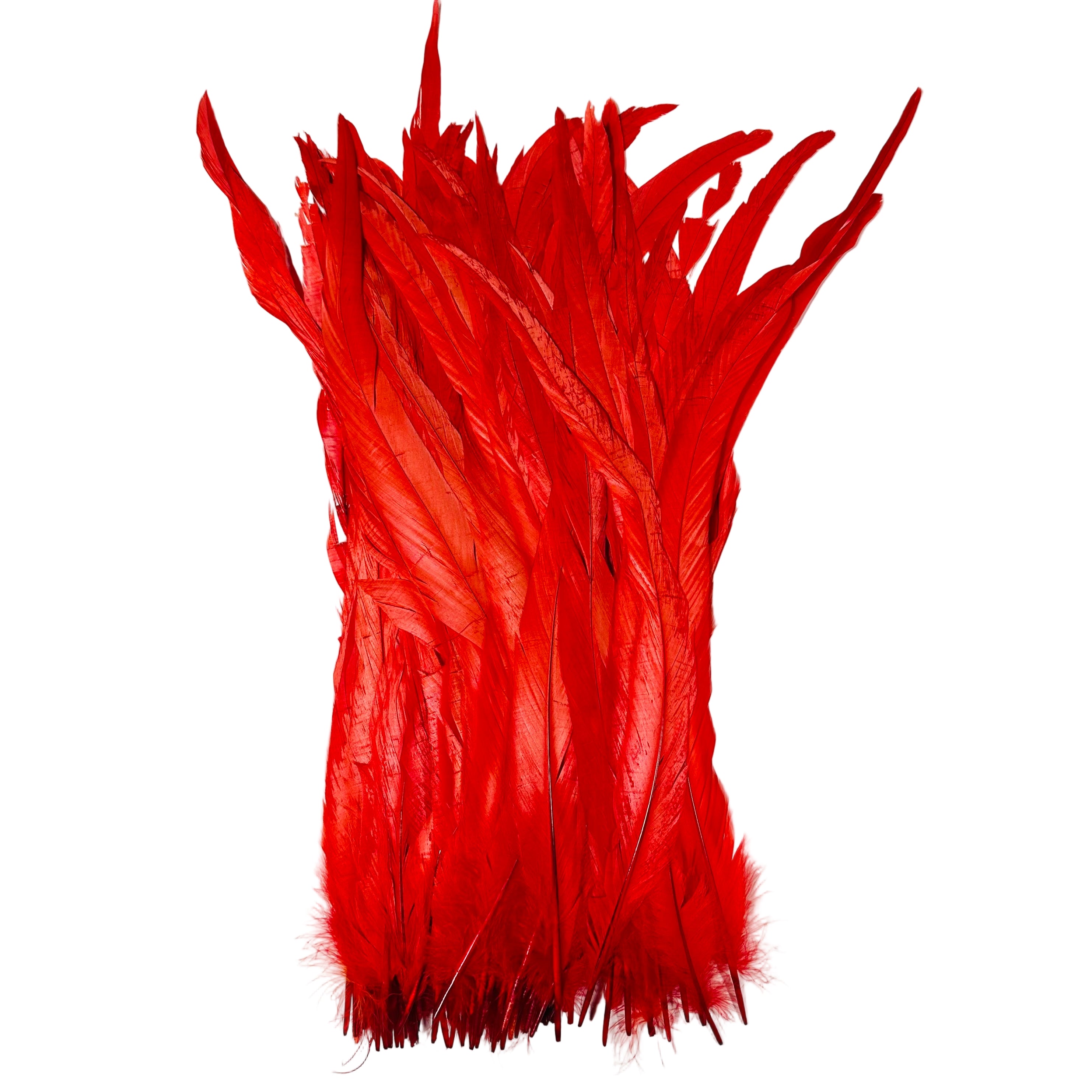 Feathers - Red Roosters, 16-18",  set of 100