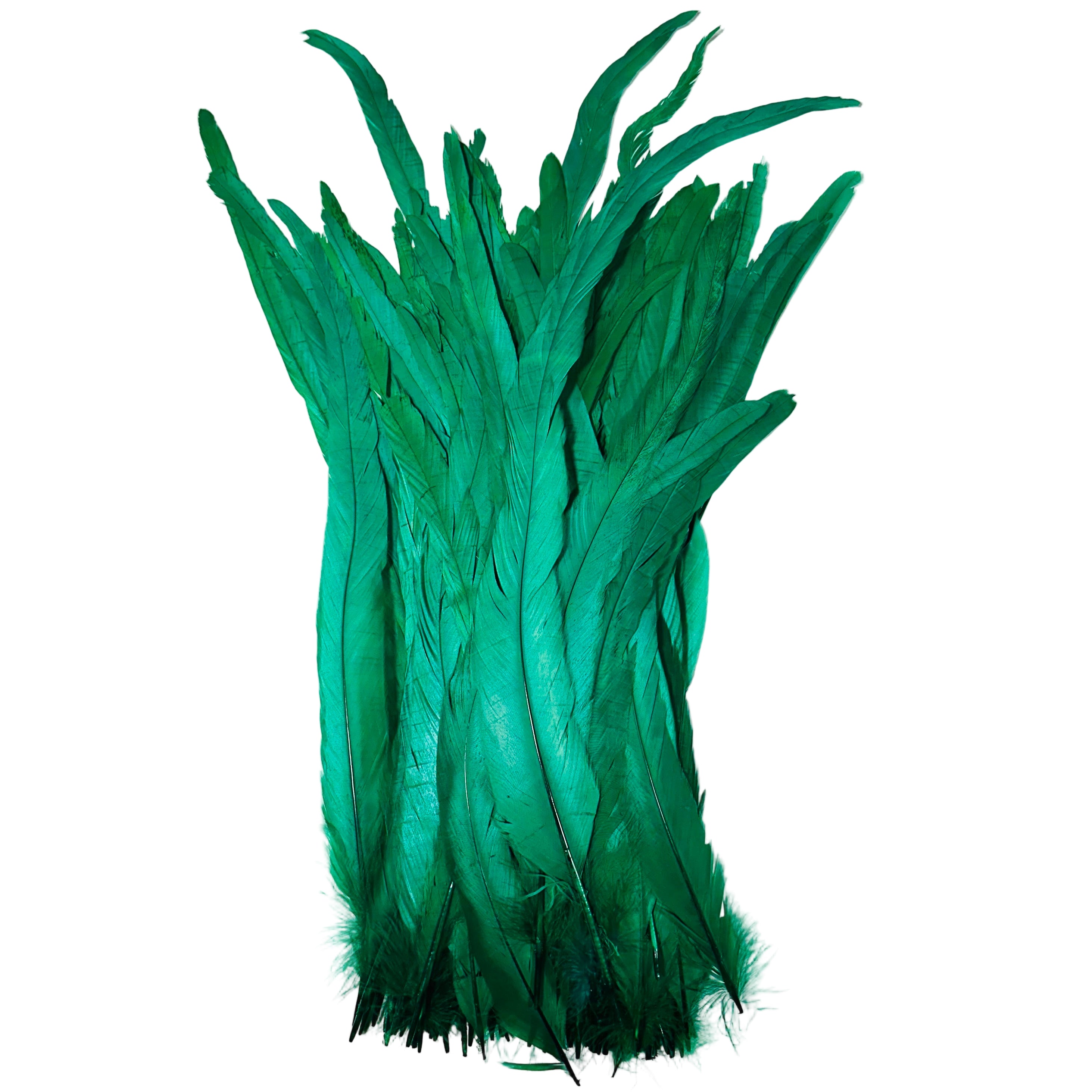 Feathers - Green Roosters, 16-18",  set of 100