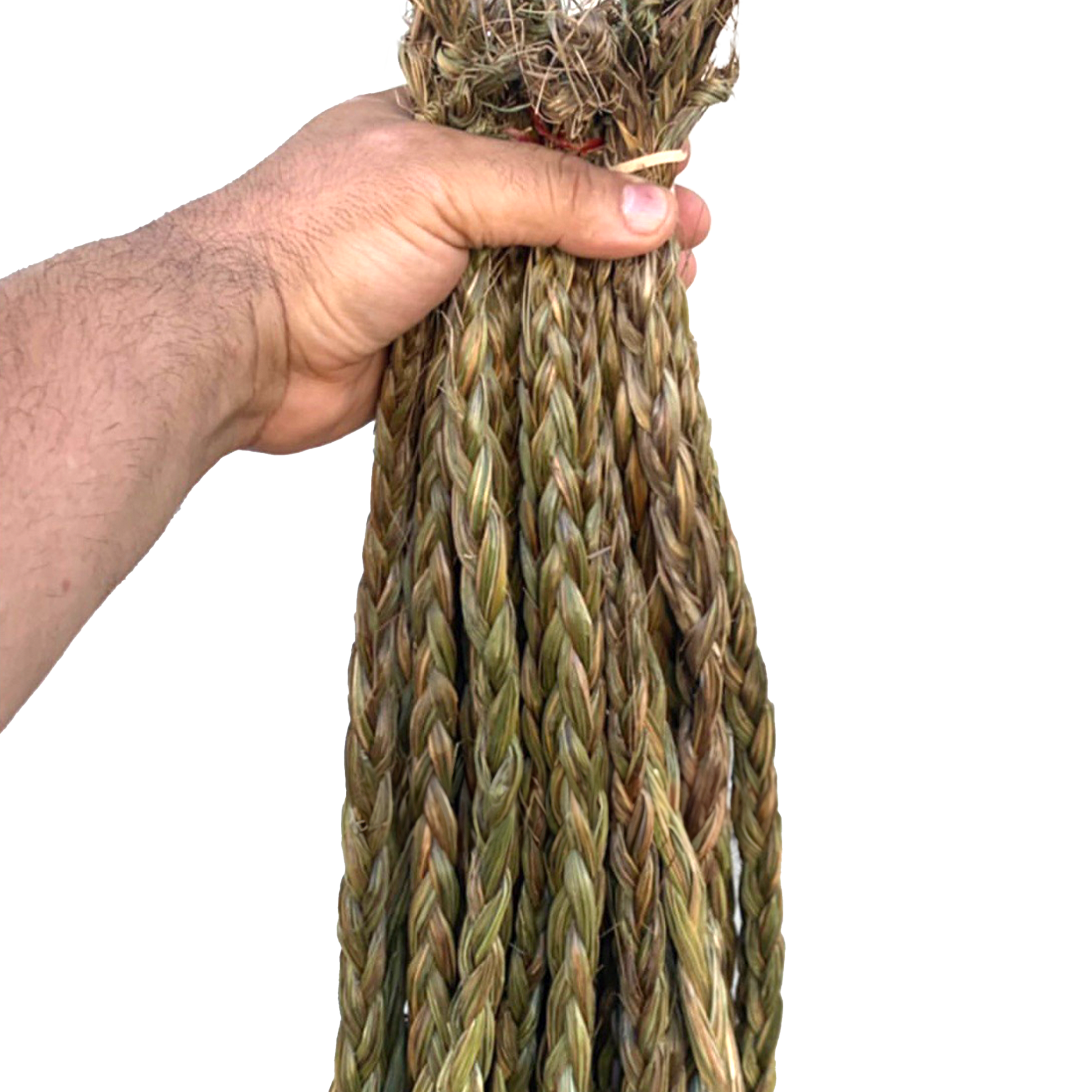 Sweetgrass