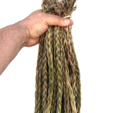 Sweetgrass