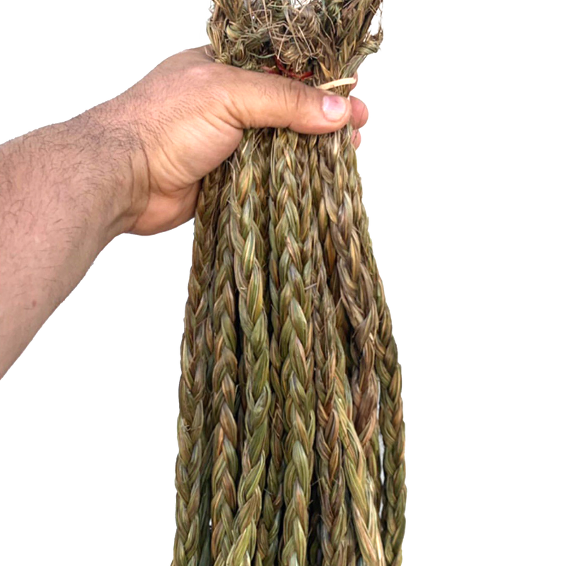 Sweetgrass