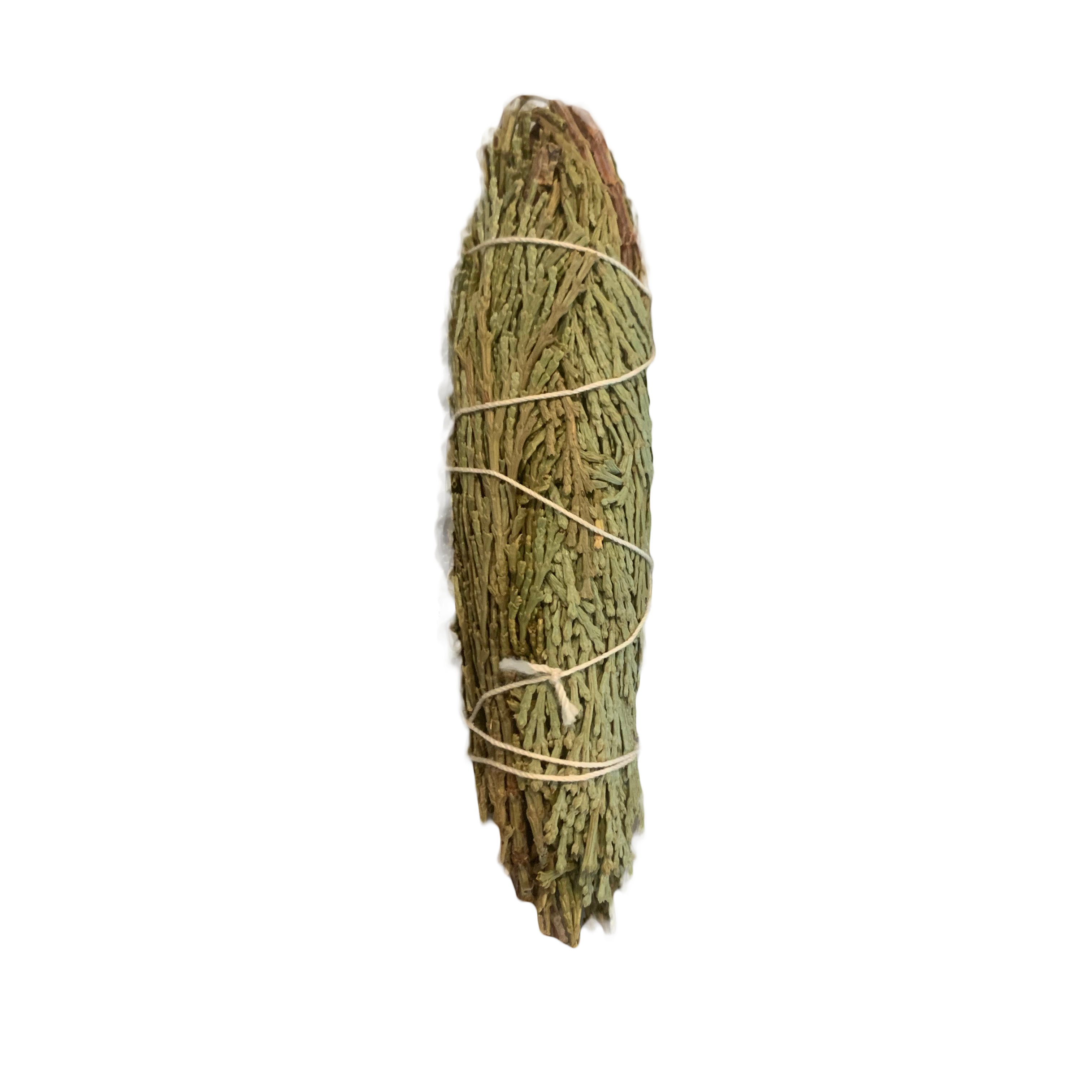 Cedar - Bundle