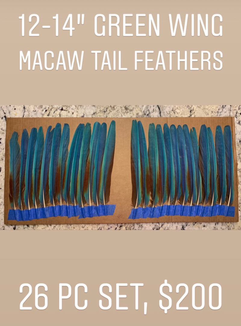 Aztec Dance Macaw Feather set 3