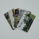 Memory Cards-Herbario Comunal