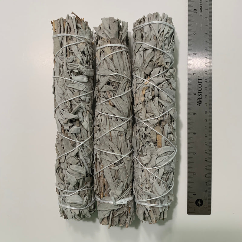 Sage - Large (3)