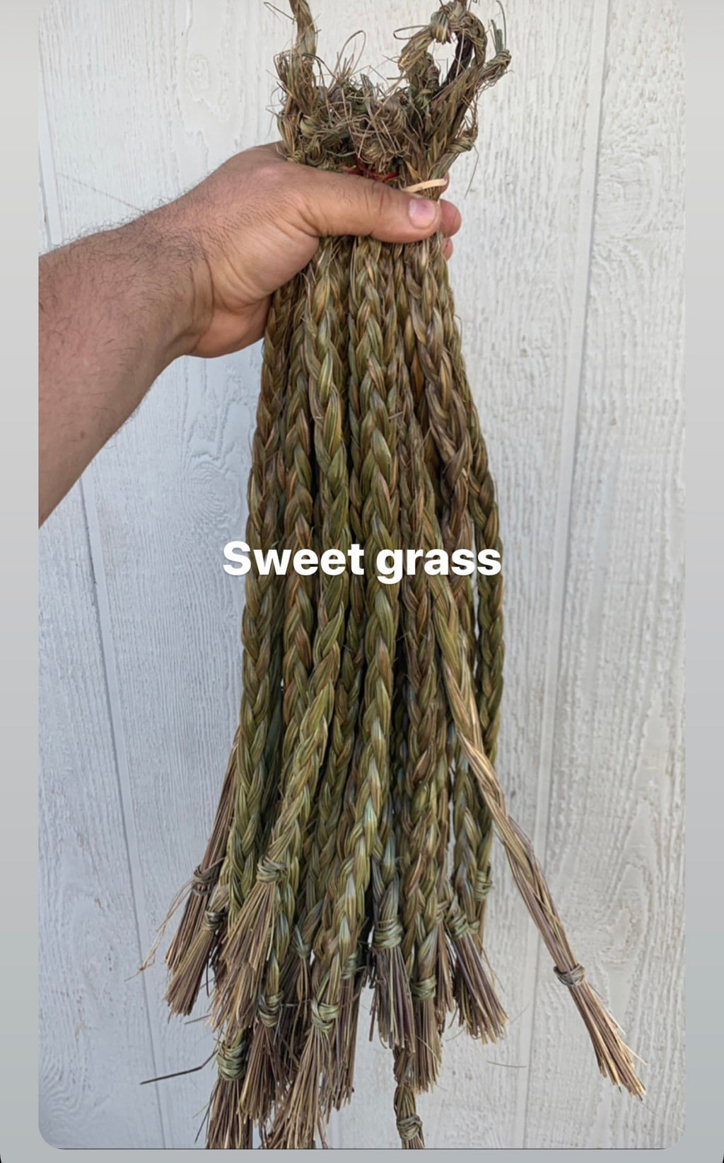 Braided Sweet Grass
