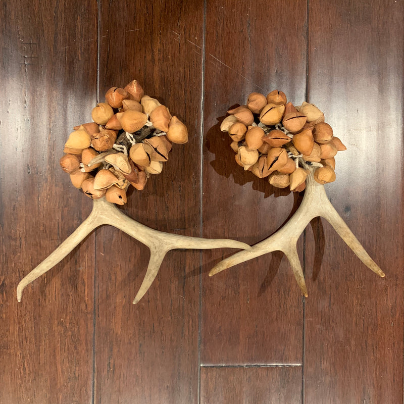 Dance - Sonajas (Rattle) ayoyotes n deer alters