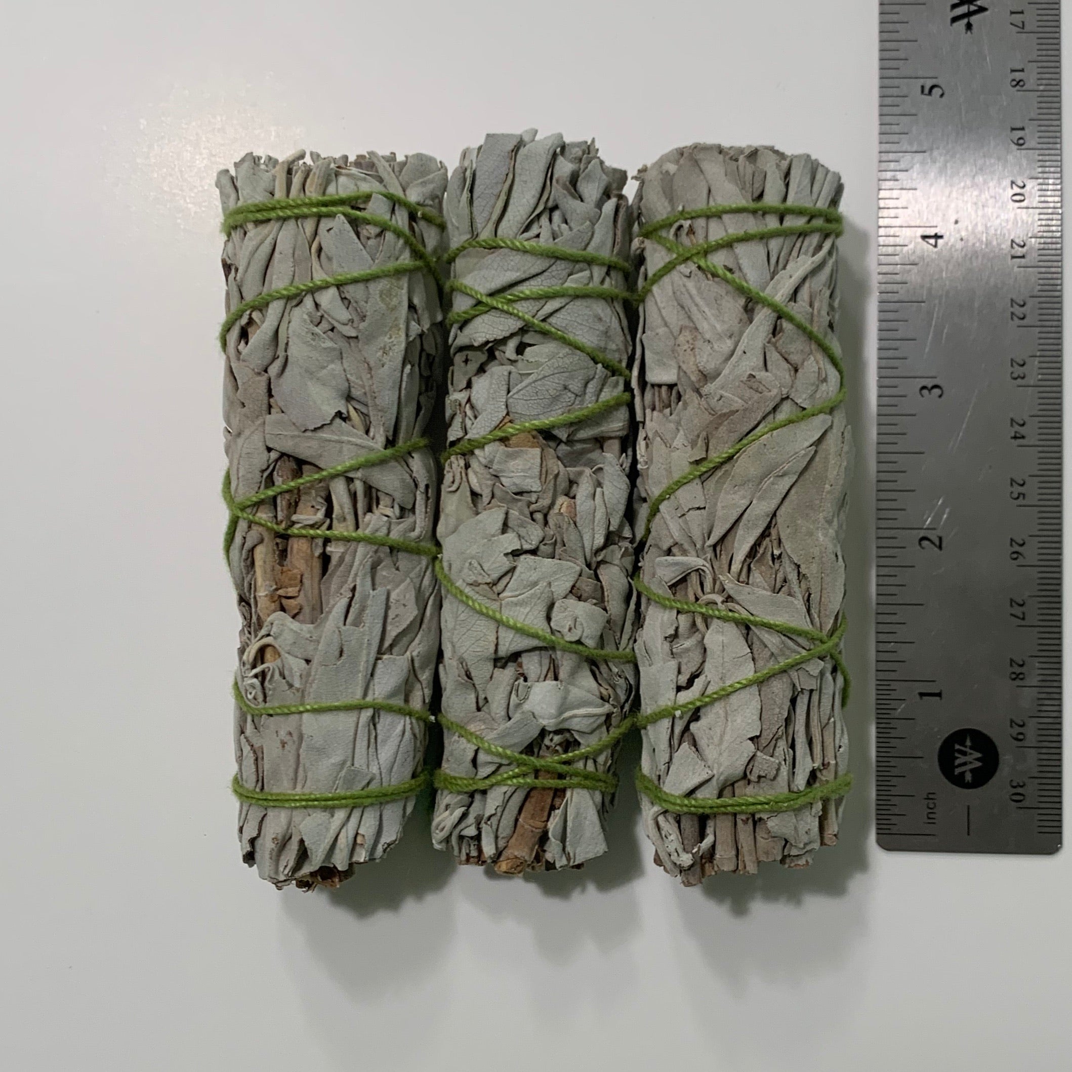 Sage - Small (3)