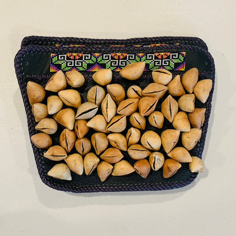 Dance - Ayoyotes w Beadwork, sold in 16