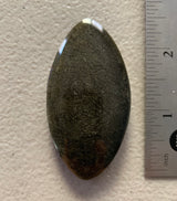 Obsidian - 2.5” pointed oval.