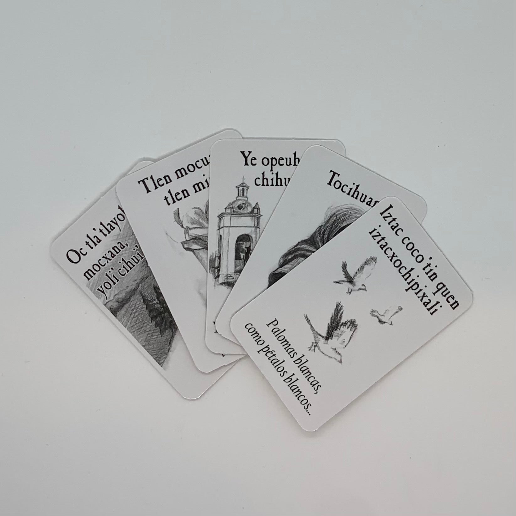 Memory Cards-¡Vámonos con Zapata!