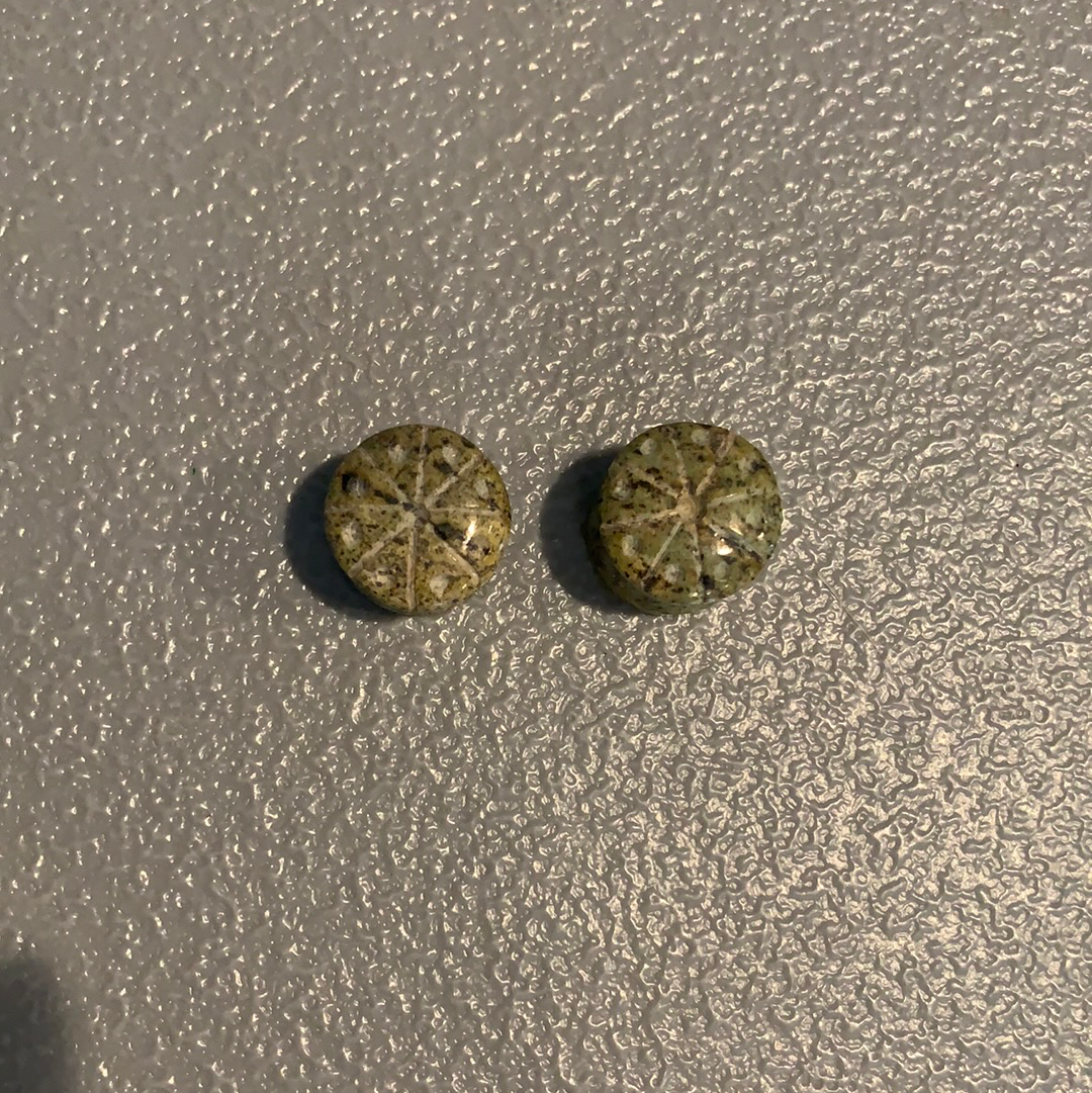 Earrings Jade plugs 19/32”