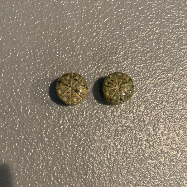 Earrings Jade plugs 19/32”